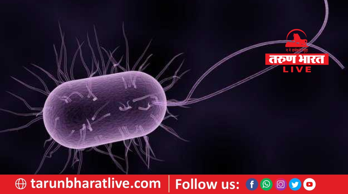 Jalgaon News जिल्ह्यात पहिल्यांदाच आढळला 'या' आजाराचा रुग्ण Tarun